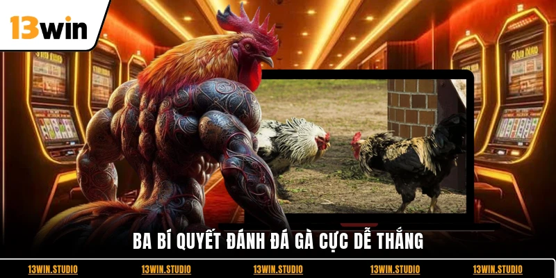 Ba bí quyết đánh đá gà cực dễ thắng