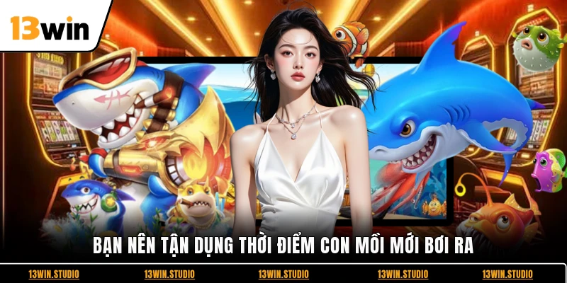 Bạn nên tận dụng thời điểm con mồi mới bơi ra
