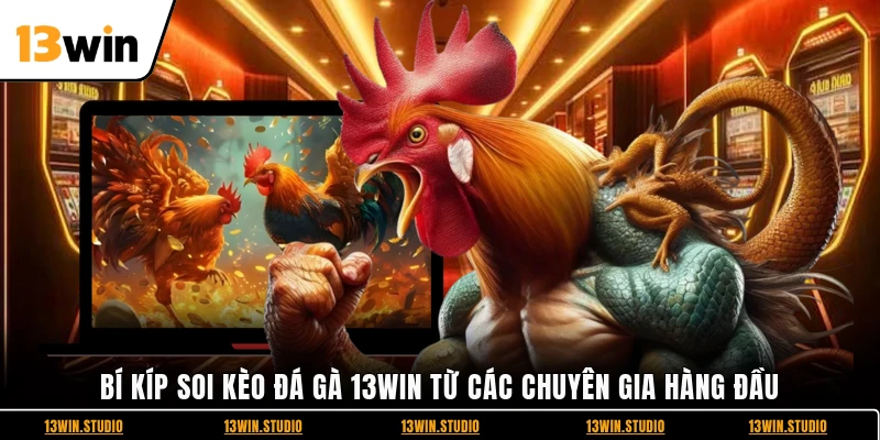 Bí kíp soi kèo Đá gà 13WIN từ các chuyên gia hàng đầu