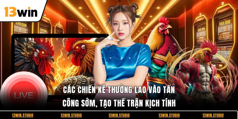 Các chiến kê thường lao vào tấn công sớm, tạo thế trận kịch tính