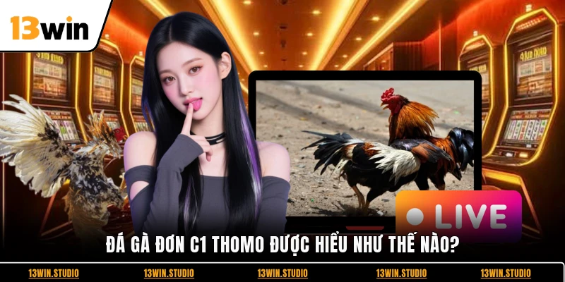 Đá gà đơn C1 Thomo được hiểu như thế nào?