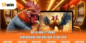 Đá Gà Đơn C1 Thomo | Kinh Nghiệm Chơi Hiệu Quả Từ Hội Viên