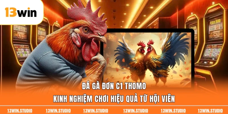 Đá Gà Đơn C1 Thomo | Kinh Nghiệm Chơi Hiệu Quả Từ Hội Viên