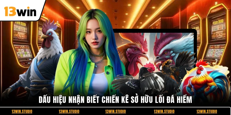 Dấu hiệu nhận biết chiến kê sở hữu lối đá hiểm