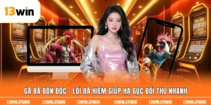 Gà Đá Đòn Độc - Lối Đá Hiểm Giúp Hạ Gục Đối Thủ Nhanh