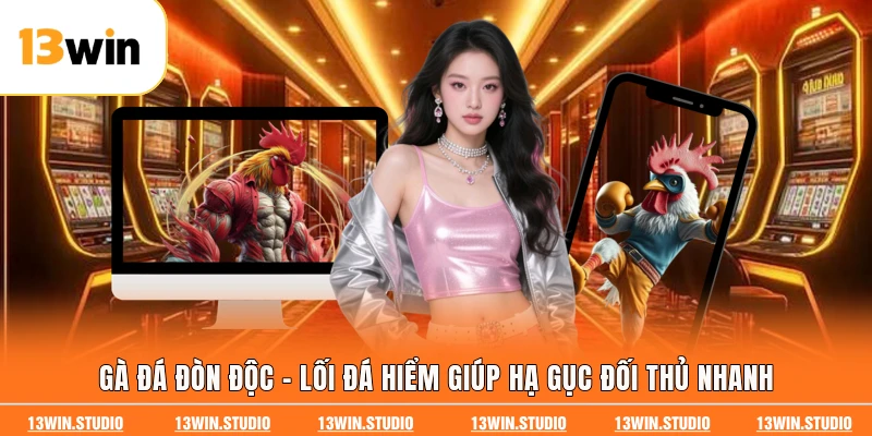 Gà Đá Đòn Độc - Lối Đá Hiểm Giúp Hạ Gục Đối Thủ Nhanh