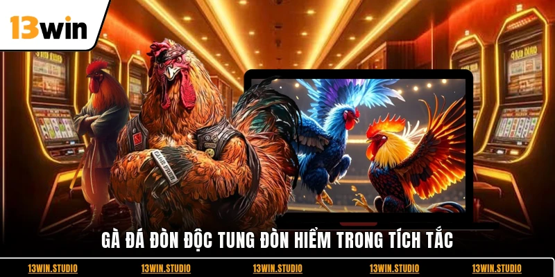 Gà đá đòn độc tung đòn hiểm trong tích tắc