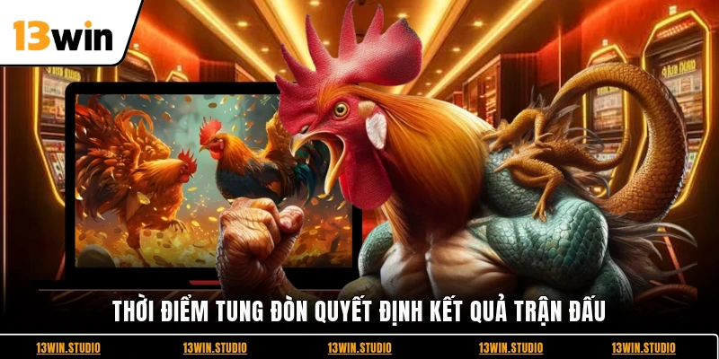 Thời điểm tung đòn quyết định kết quả trận đấu